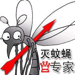 灭蚊蝇专家