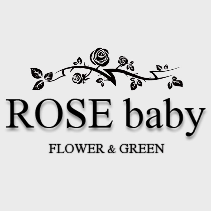 ROSE baby 花艺生活馆