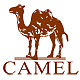 CAMEL骆驼鞋类企业店