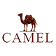 camel骆驼名驼专卖店是正品吗淘宝店