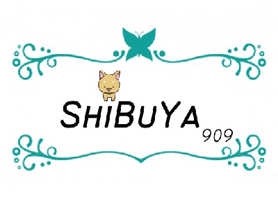 ShiBuYa涉谷909