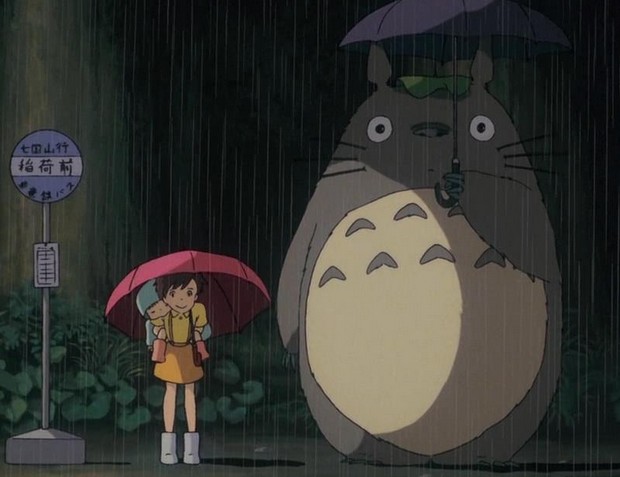 Totoro龙猫代购