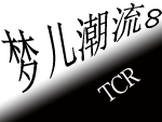TCR平衡杆直销