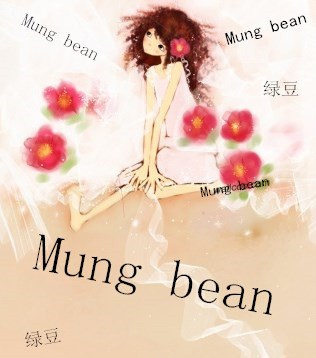 Mung   bean