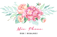 卖 壳 疯 mic phone