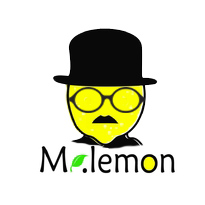 Mr lemon 韩国复古眼镜集散地