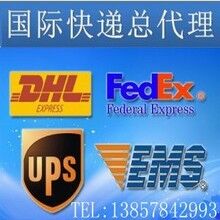 宁波易恒国际快递  DHL TNT UPS EMS FEDEX 国际物流货物集运
