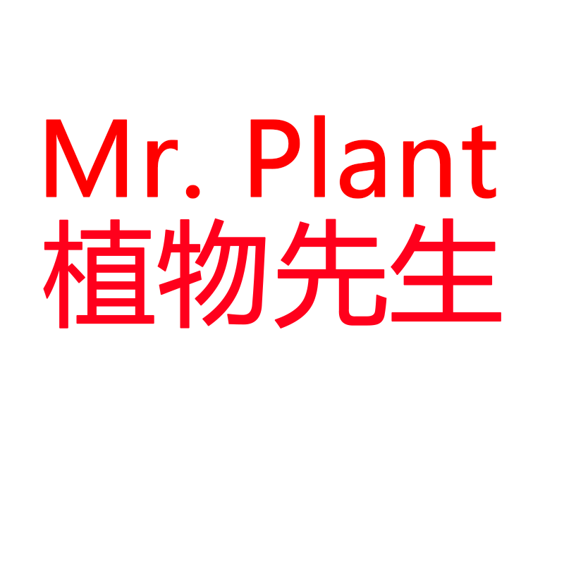 植物先生