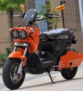 踏板车 电摩托车批发零售