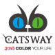 Catsway 品质袜品 周六休息