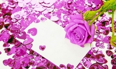 紫玫瑰精品小屋