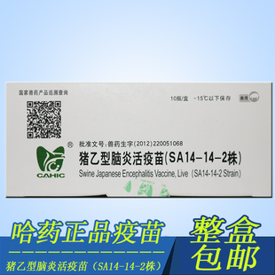 兽用猪乙型脑炎活疫苗兽药猪药猪保健10头份20mg冻干粉中牧活疫苗