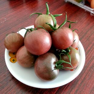 新鲜水果农家水果黑珍珠黑美人柿子圣女果小番茄西红柿5斤包邮 新品