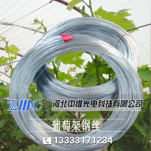 2mm热镀锌钢丝/葡萄架钢丝/围栏钢丝/大棚架钢丝/农用钢丝 新品上架 $