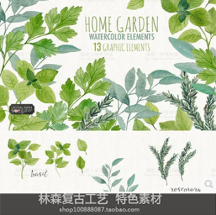 p0156高清ps设计素材 水彩风格树叶片图案松树阔叶树png免抠图 新品