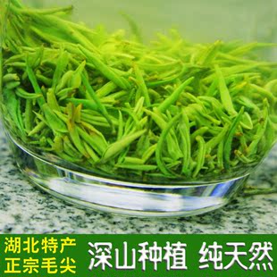 2015新茶武当山道茶极品毛尖绿茶有机春茶叶云雾毛尖茶叶明前纯芽