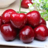 山东沂源有机大樱桃园大红灯黑珍珠新鲜现摘现