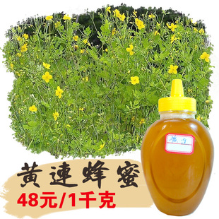 2016黄连蜂蜜 纯天然农家自产深山野生黄连蜜 纯蜂蜜 土蜂蜜 原蜜