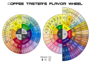 scaa scae 新版 咖啡风味轮图 中英双语 双版 高清 新品上架 18.