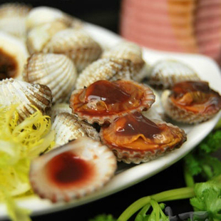 海鲜贝类水产鲜活血蛤补血血蛤野生正宗小血蛤小赤贝血钳批发包邮