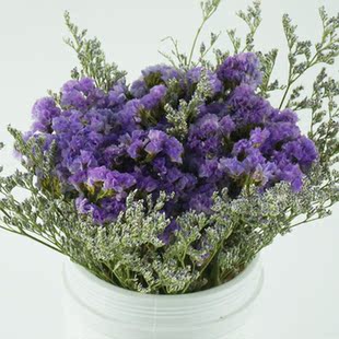 情人草干花家居饰品百搭装饰客厅餐桌插花摆件仿真假花艺手捧花束