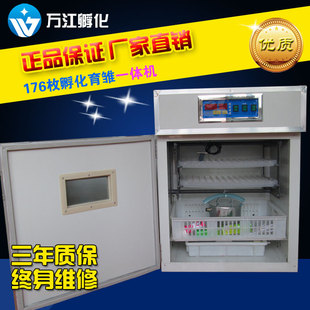万江孵化设备厂店铺