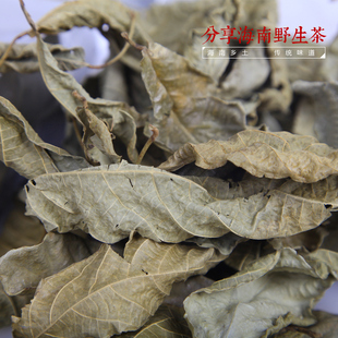 清热下火凉茶海南鹧鸪茶 养胃健脾下火茶 不是像树叶那么简单 新品