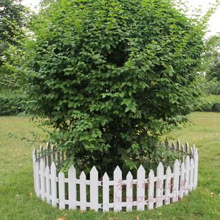 塑料栅栏围栏 花园篱笆 工程装饰围栏 圣诞树围栏 田园装饰栅栏 新品
