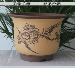 特大花盆 紫砂花盆 梅花盆 陶瓷花盆 高档紫砂盆 批发价 带托盘 新品