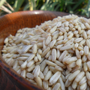 内蒙古三主粮燕麦米 去壳燕麦米 全胚芽裸燕麦米燕麦仁粟粒降血糖