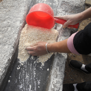 250g农家杂粮麦糁自产纯手工石碾磨制非转基因无添加天然有机粗粮