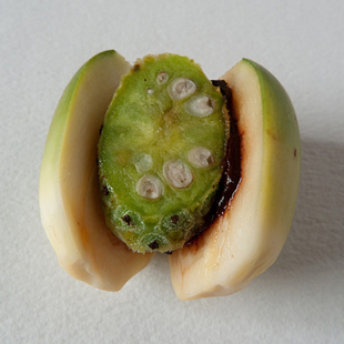 当天现做发货台湾槟榔青仔槟榔红灰包叶槟榔果10元3盒限顺丰 新品上架