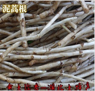 湖北特色蔬菜 泥蒿根 芦蒿根 泥蒿  藜蒿根有机蔬菜5斤包邮 新品上架