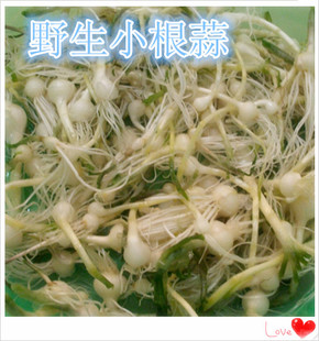 东北山野菜-新鲜小根蒜-大脑瓜崩儿,新鲜小根蒜/野蒜11.