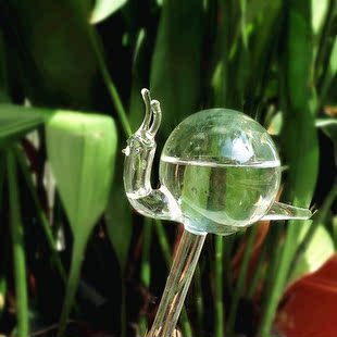 透明蜘蛛玻璃浇蜗牛自动浇花器装饰滴灌必备花盆浇水花器出差自助动物家庭蝉三种蜻蜓图片