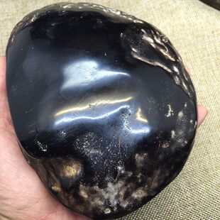 镇店之宝 天然血珀原石 翳珀 缅甸琥珀 无优化 金珀棕珀 绝世罕见