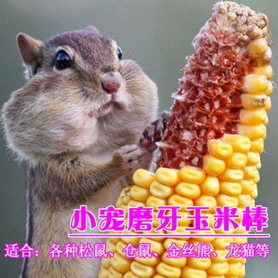 零食山东松鼠仓鼠磨牙天然玉米棒穗皮料龙猫农家宠物磨牙用品用品鳄鱼兔子v零食图片