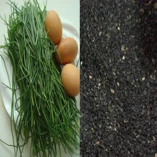 新采正品沙葱种子 籽粒饱满出芽高蔬菜种子野生沙葱种子保证出芽 新品