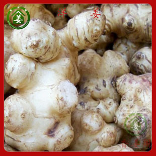 现刨新鲜 洋姜 生姜 菜姜 菊芋 旱姜 鬼子姜 姜不辣 甜姜 种子 新品