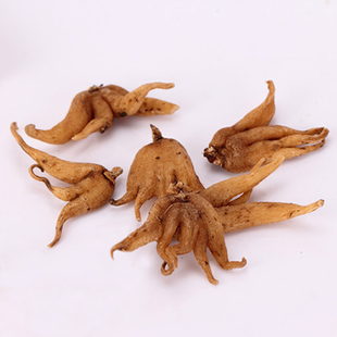 *049*  高山野生手参佛掌参五掌参 野生滋补佳品 新品上架 ￥ 380.