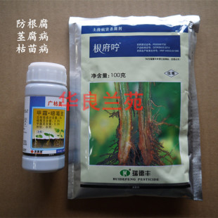 兰花预防茎腐根腐软腐病 预防花卉植物炭疽病枯萎病溃疡病立枯病 新品