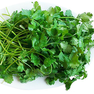 菜肴提味之品农家自种有机纯天然香菜芫荽盐荽漫天星包邮 新品上架