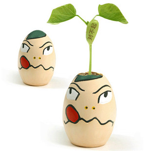 魔豆种子创意迷你植物小盆栽绿植室内花卉儿童种植礼品可爱植物 新品