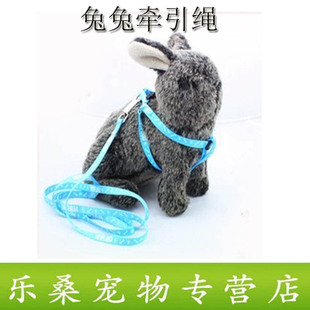 猫狗兔子豚鼠龙猫牵引绳兔子牵引绳溜兔绳颜色随机发货 天天快递 新品
