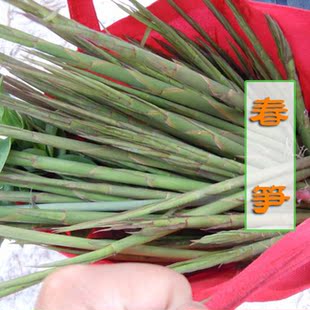 韶关乐昌高山春笋野生箭笋泥笋新鲜蔬菜初级农产品纯天然食品特产
