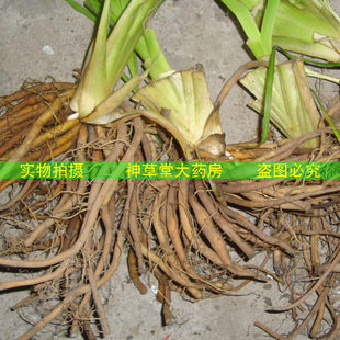 中药铺 ◆优质中药材 ◆ "新鲜野生金针薯" 35元/500克 新品上架 ￥