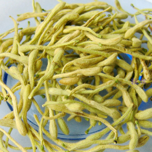 齐鲁名医 八代中医世家