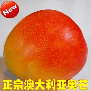 正宗澳洲芒果澳大利亚进口奥芒新鲜水果最贵最漂亮4颗包邮顺丰 新品