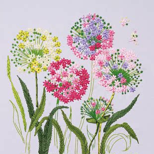 最新款丝带绣花卉挂画蒲公英的约定新手简单适合客厅挂画非十字绣