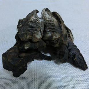 东家山 烟笋干 福建省黑笋干 250g 两件包邮 新品上架 ￥ 25.0 ￥25